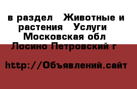  в раздел : Животные и растения » Услуги . Московская обл.,Лосино-Петровский г.